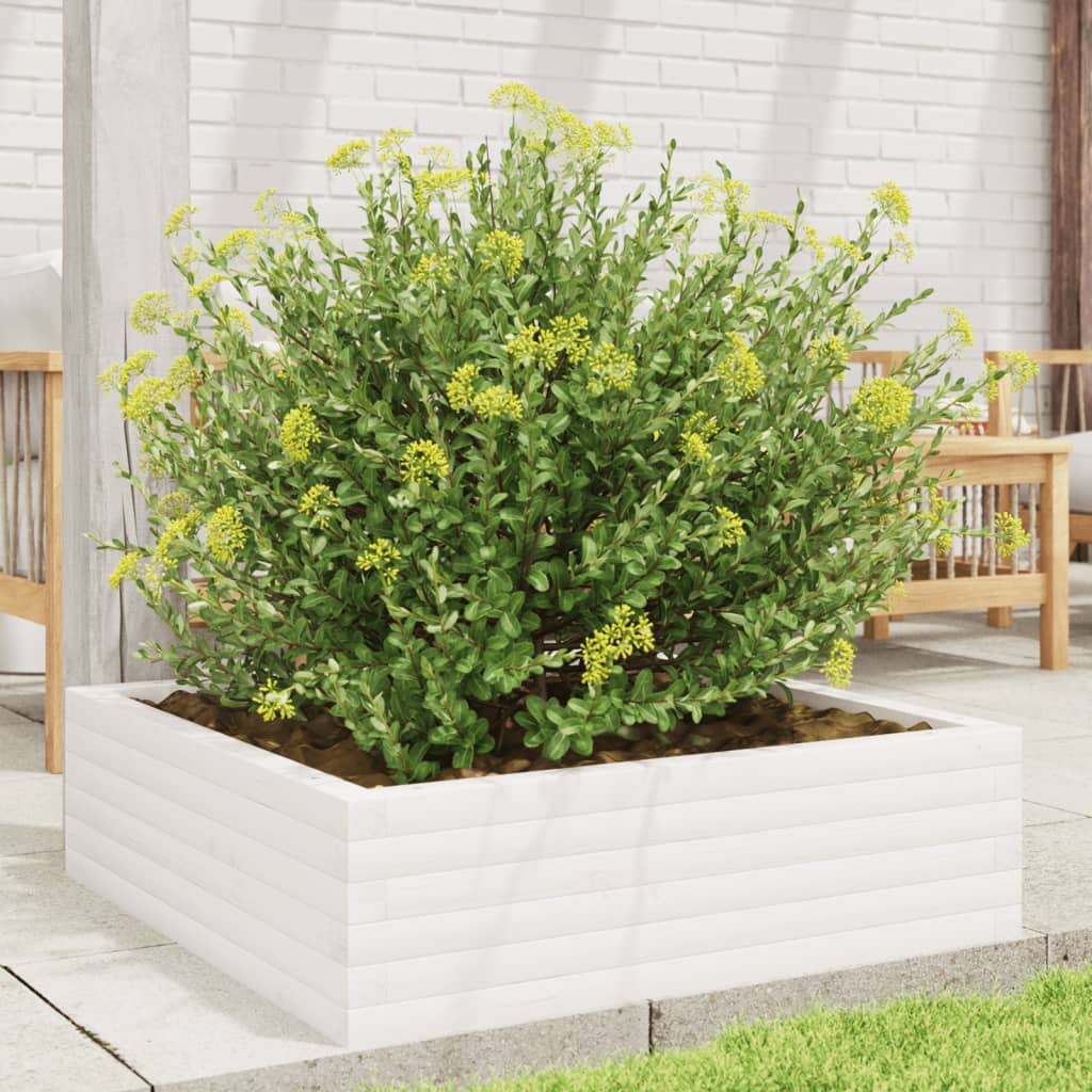 Vidaxx jardinière 80x80x23 cm bois de pin massif blanc