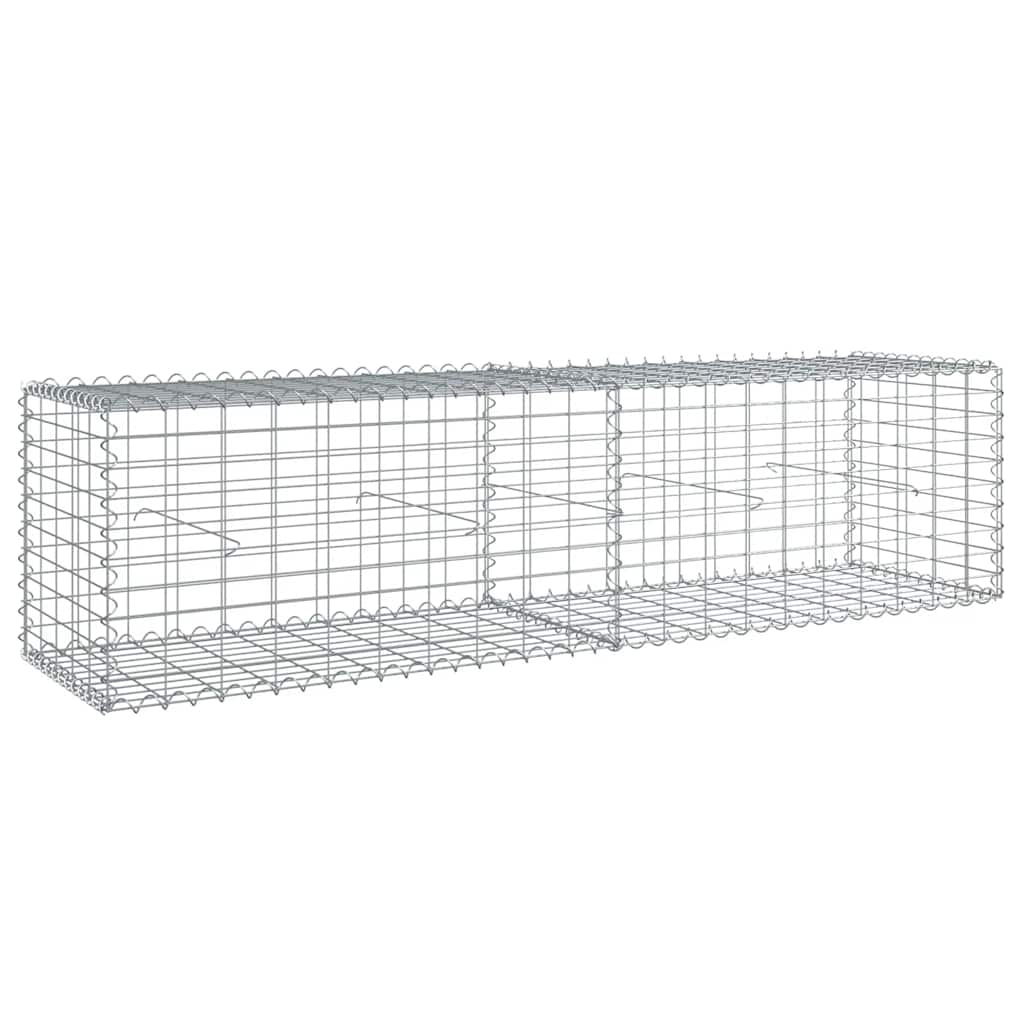 VidaXL Gabion 200x50x50 cm fer galvanisé couleur argent