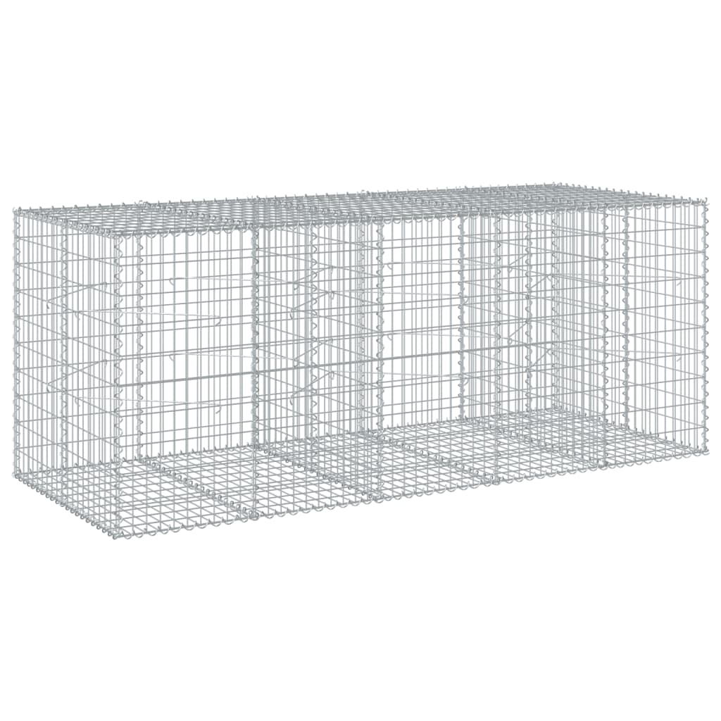 VidaXL Gabion 250x100x100 cm fer galvanisé couleur argent