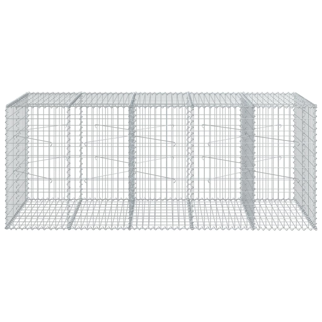 VidaXL Gabion 250x100x100 cm fer galvanisé couleur argent