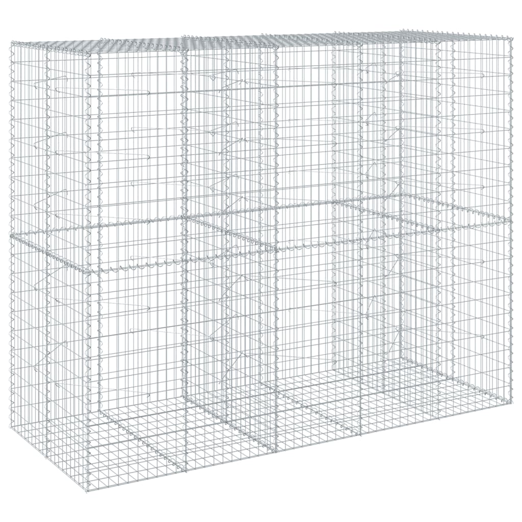 VidaXL Gabion 250x100x200 cm fer galvanisé couleur argent