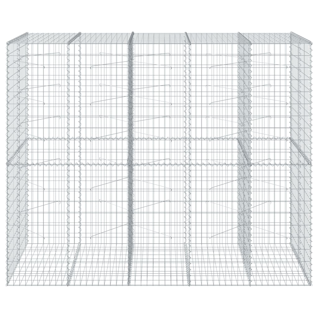 VidaXL Gabion 250x100x200 cm fer galvanisé couleur argent