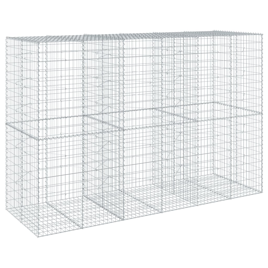 VidaXL Gabion 300x100x200 cm fer galvanisé couleur argent