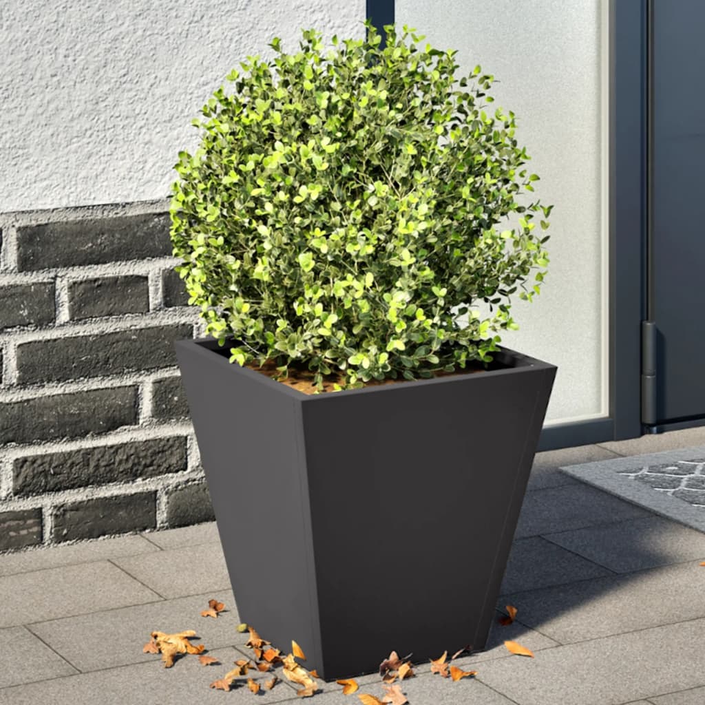 Vidaxx jardinières 2 pcs 30x30x30 cm acier noir