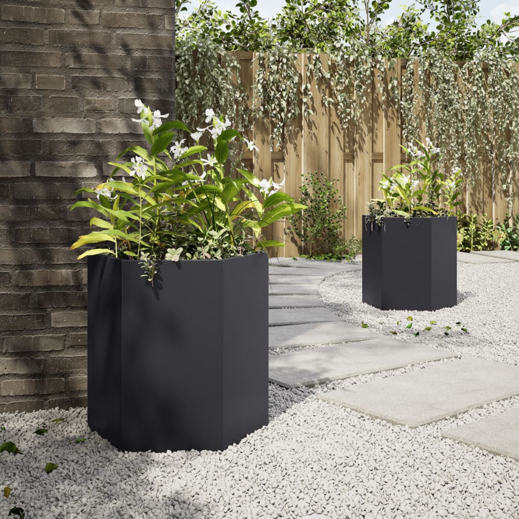 Vidaxx jardinières 2 pcs hexagone 46x40x45 cm acier noir