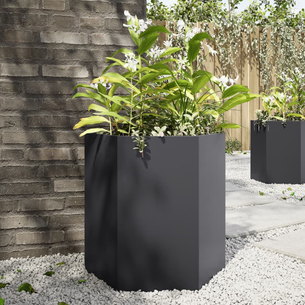 Vidaxx jardinières 2 pcs hexagone 46x40x45 cm acier noir