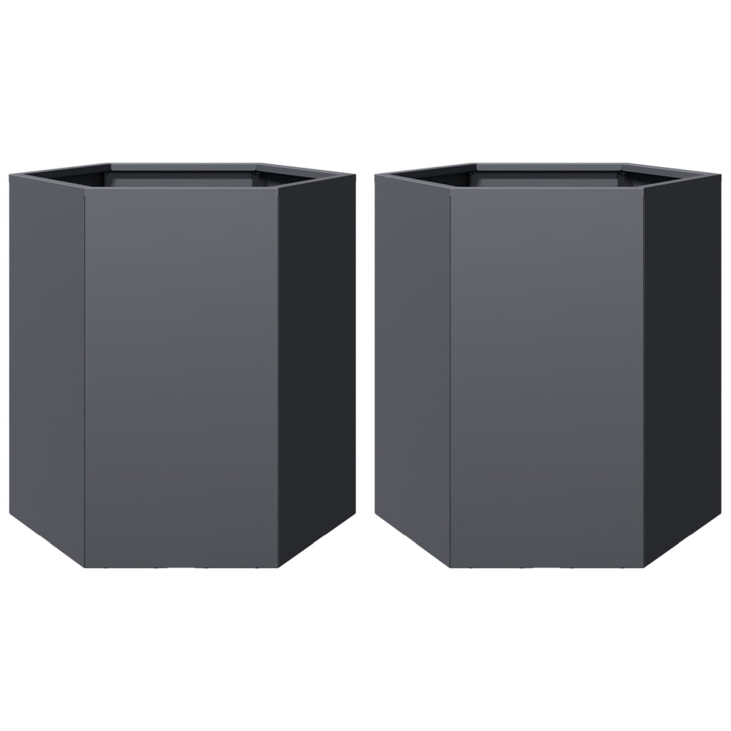 Vidaxx jardinières 2 pcs hexagone 46x40x45 cm acier anthracite