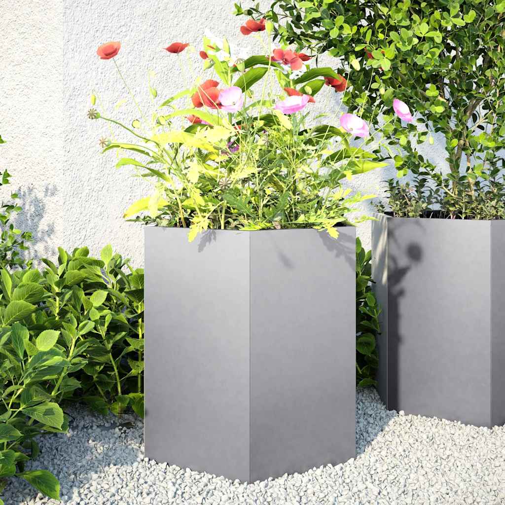 Vidaxx jardinières 2 pcs hexagone 46x40x45 cm acier galvanisé