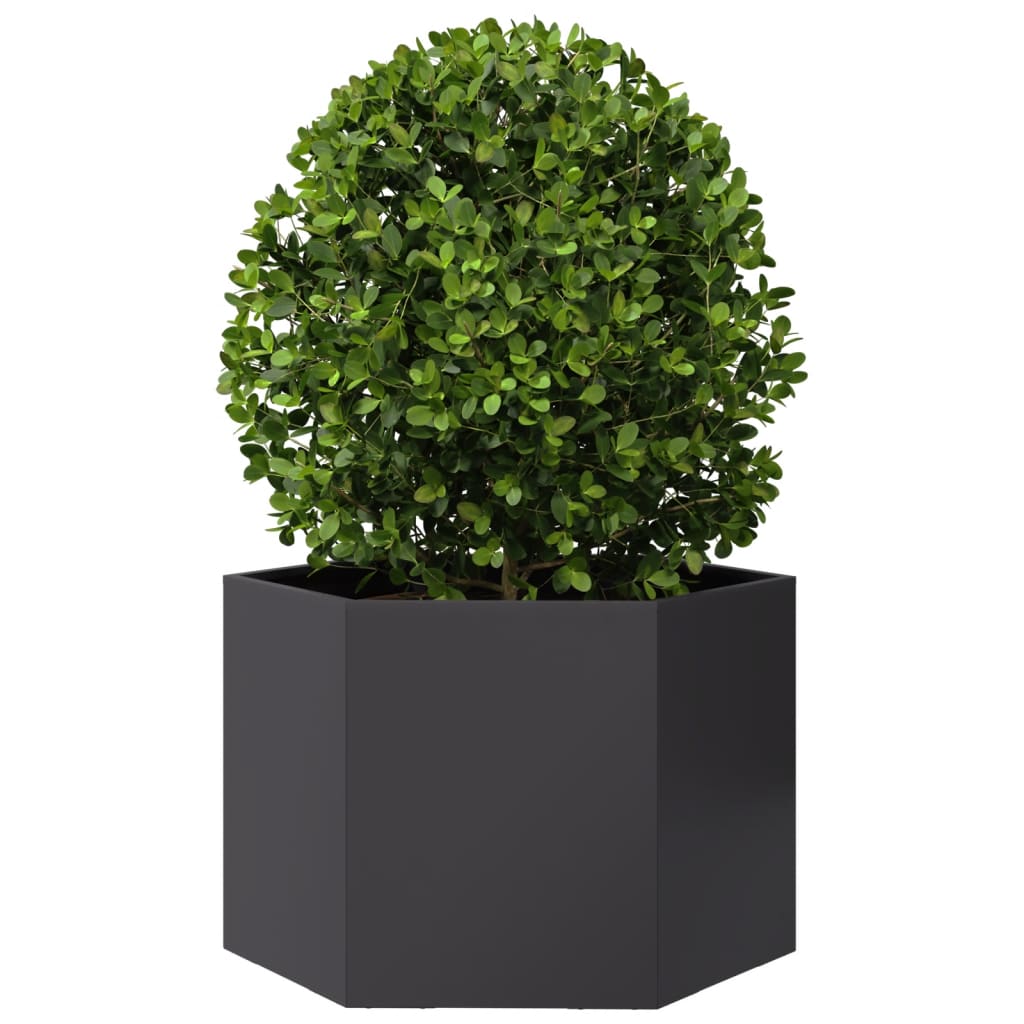 Vidaxx jardinière hexagone 69x60x45 cm acier noir