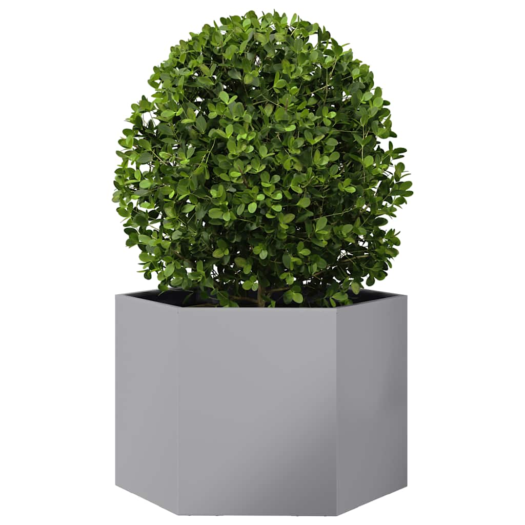 VidaXL Jardinière hexagone 69x60x45 cm en acier galvanisé