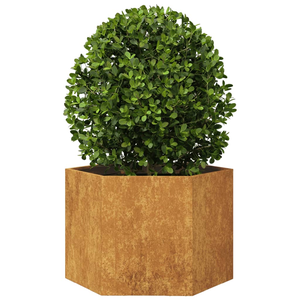 Vidaxx jardinière hexagone 69x60x45 cm acier résistant aux intempéries