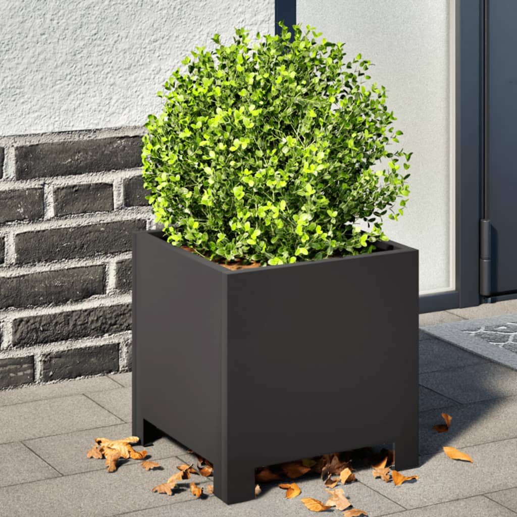 Vidaxx jardinières 2 pcs 30x30x30 cm acier noir
