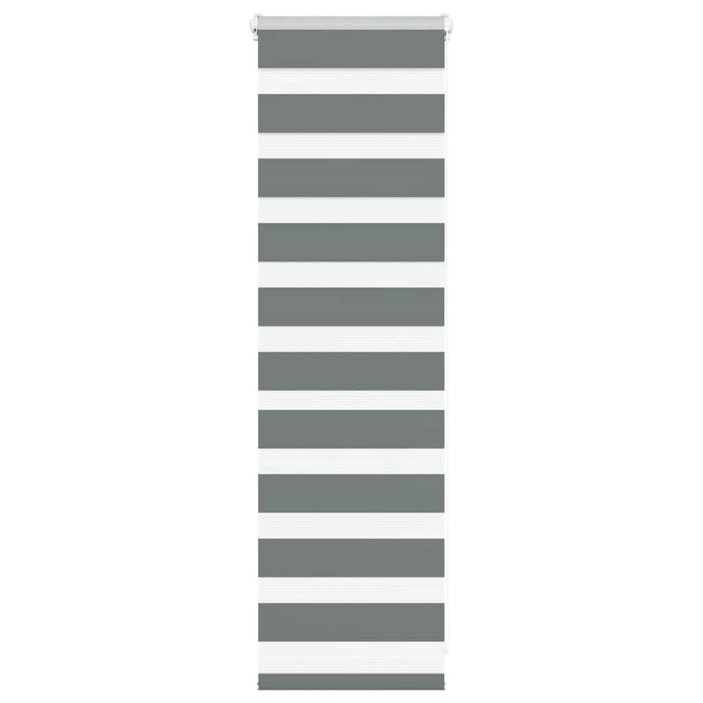 VidaXL store enrouleur zèbre 45x100 cm largeur de tissu 40,9 cm gris foncé