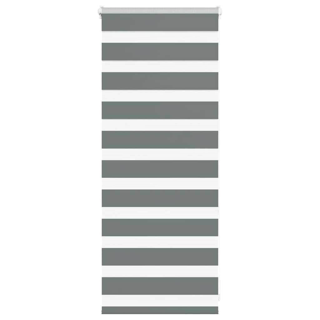 VidaXL store enrouleur zèbre 55x100 cm largeur de tissu 50,9 cm gris foncé