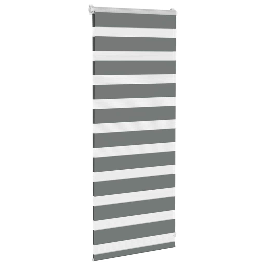 VidaXL store enrouleur zèbre 55x100 cm largeur de tissu 50,9 cm gris foncé