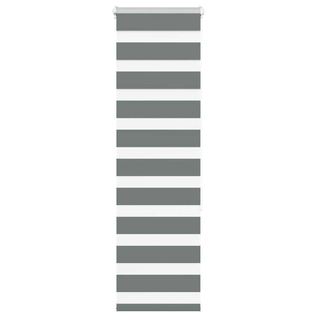 VidaXL store enrouleur zèbre 40x150 cm largeur de tissu 35,9 cm gris foncé