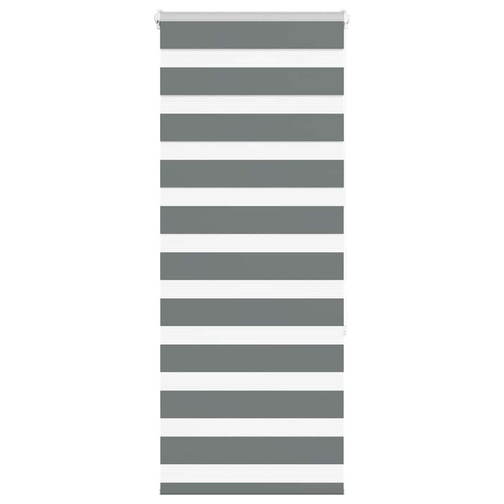VidaXL store enrouleur zèbre 55x150 cm largeur de tissu 50,9 cm gris foncé