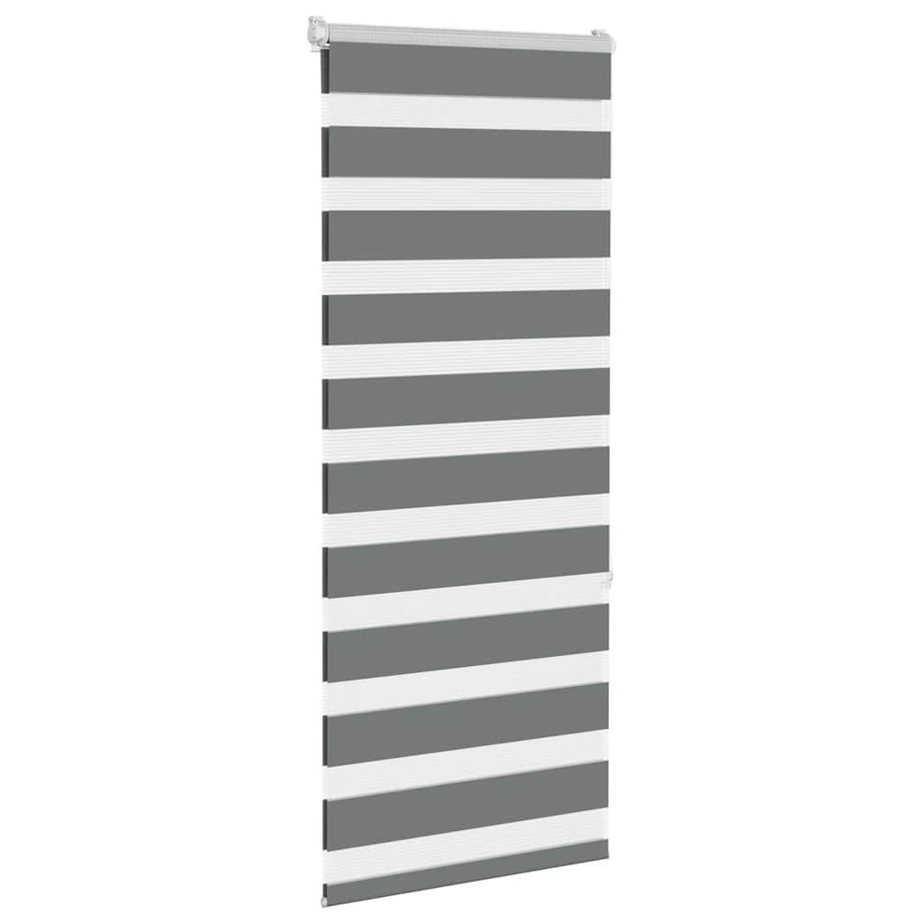 VidaXL store enrouleur zèbre 65x150 cm largeur de tissu 60,9 cm gris foncé