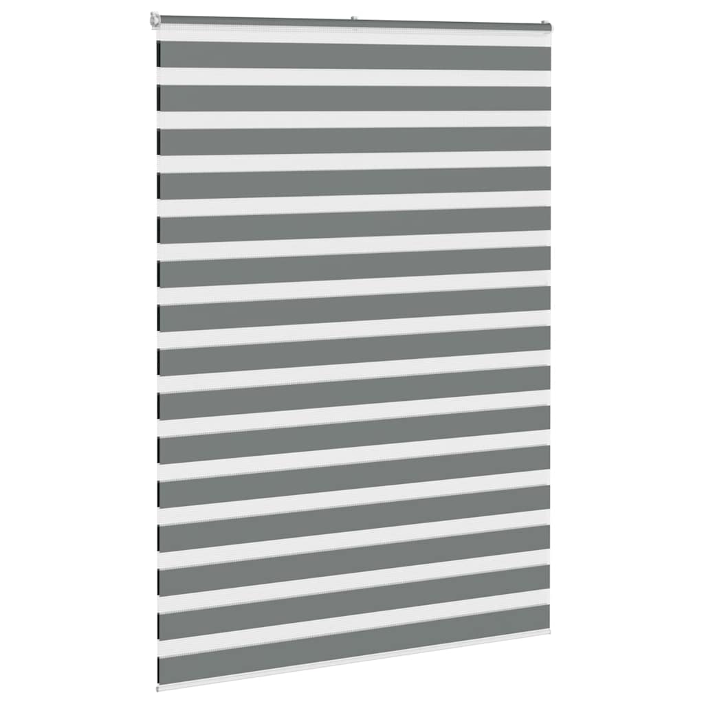 VidaXL store enrouleur zèbre 165x230 cm largeur de tissu 160,9 cm gris foncé