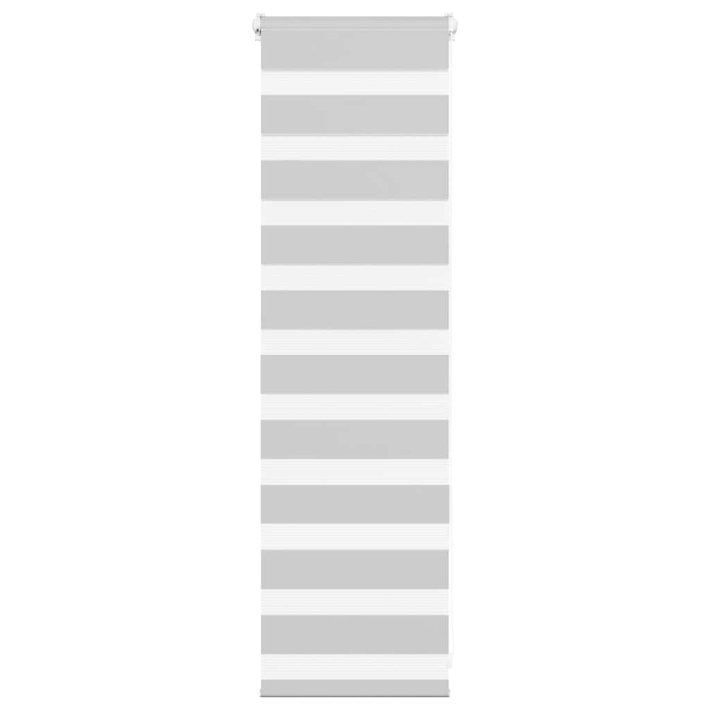 VidaXL store enrouleur zèbre 50x100 cm largeur de tissu 45,9 cm gris clair