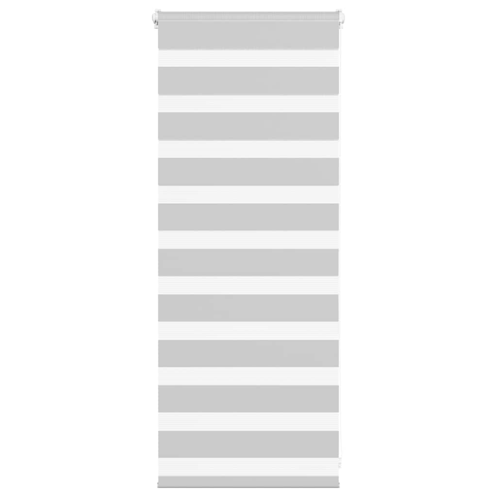 VidaXL store enrouleur zèbre 60x100 cm largeur de tissu 55,9 cm gris clair
