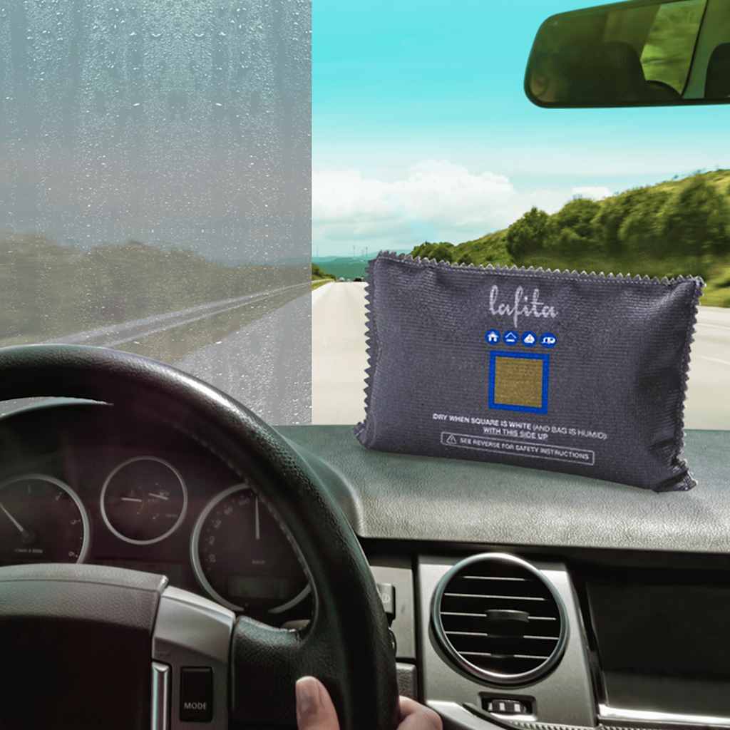 Vidaxl déshumidificateurs pour la voiture réutilisable 2 pcs 400 g