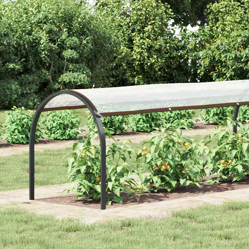 Vidaxx bâche transparente avec œillets 1x6 m polyéthylène