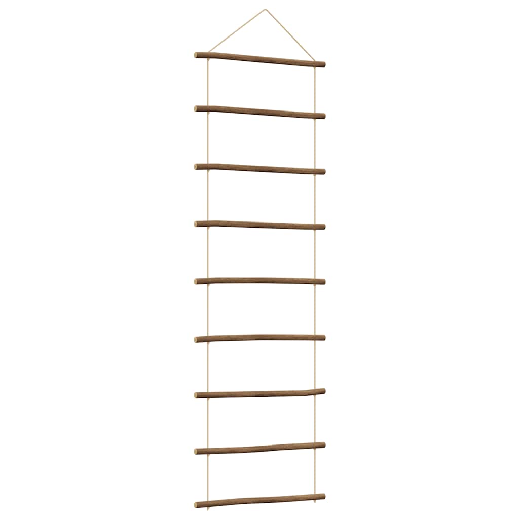 Vidaxx décoration murale en forme d'échelle 50x150 cm branche naturelle