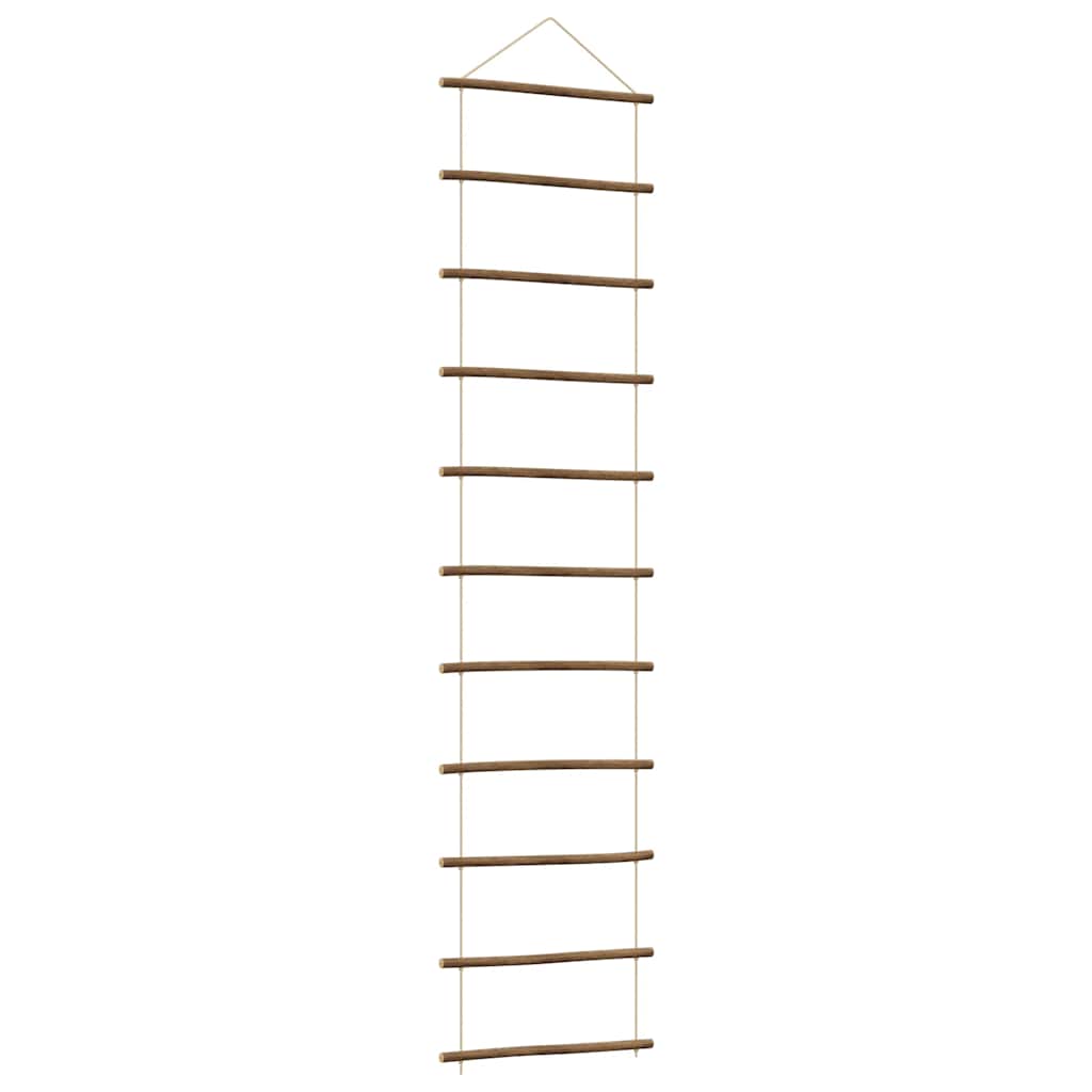 Vidaxx décoration murale en forme d'échelle 50x200 cm branche naturelle