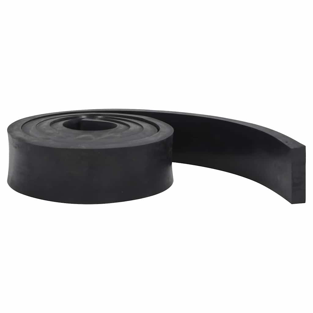 VidaXL bord en caoutchouc pour chasse-neige 250x8x2 cm noir