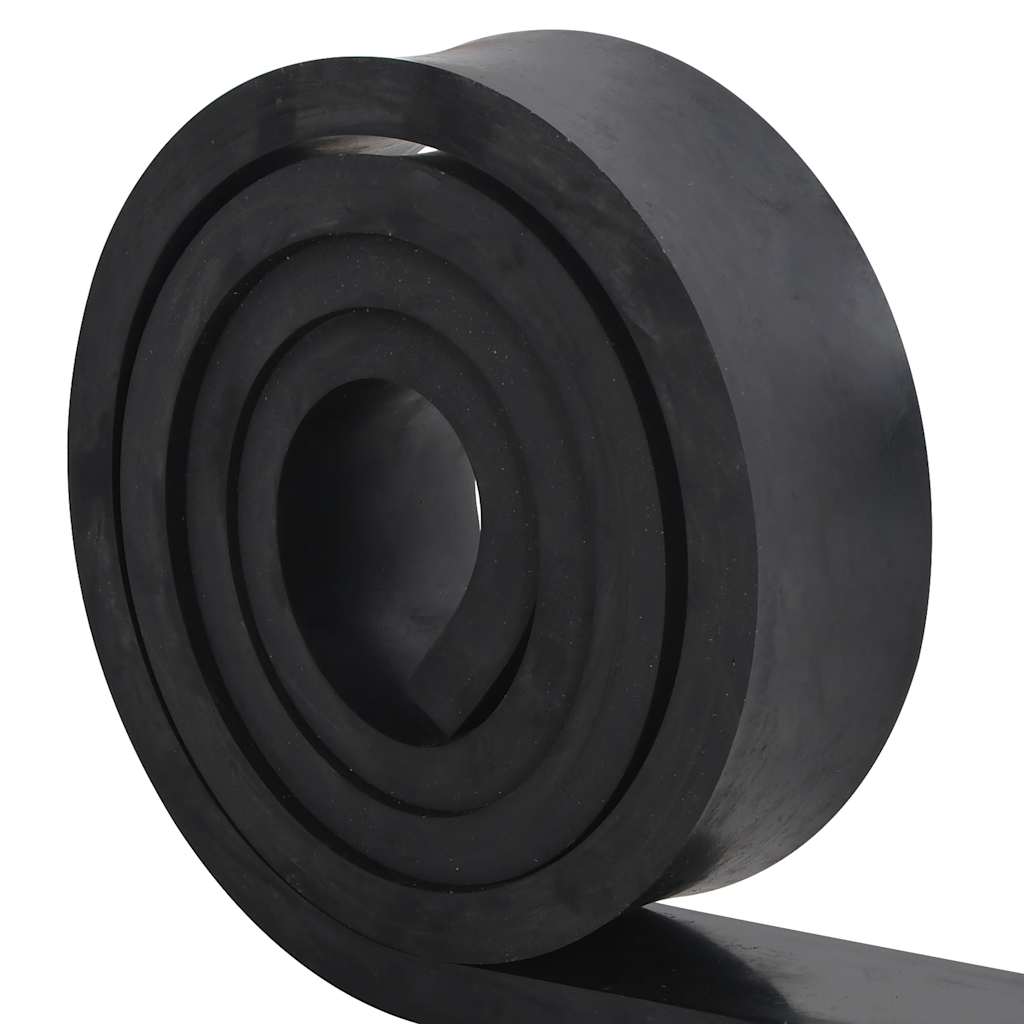 VidaXL bord en caoutchouc pour chasse-neige 250x8x2 cm noir