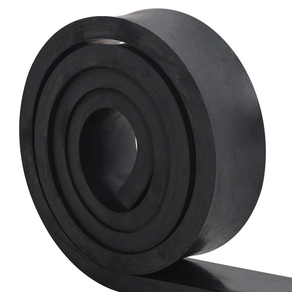 Vidaxxl bord en caoutchouc pour chasse-neige 250x10x2 cm noir
