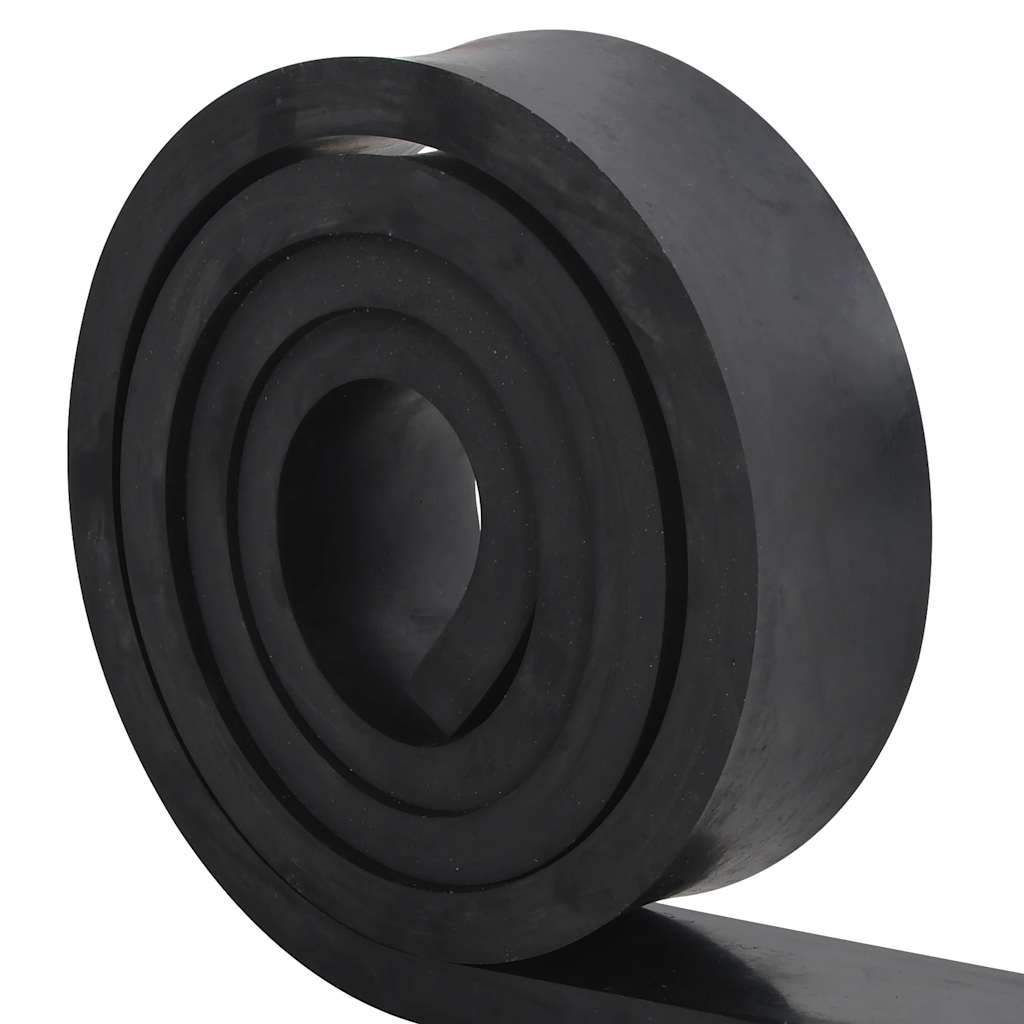 VidaXL bord en caoutchouc pour chasse-neige 300x10x2 cm noir