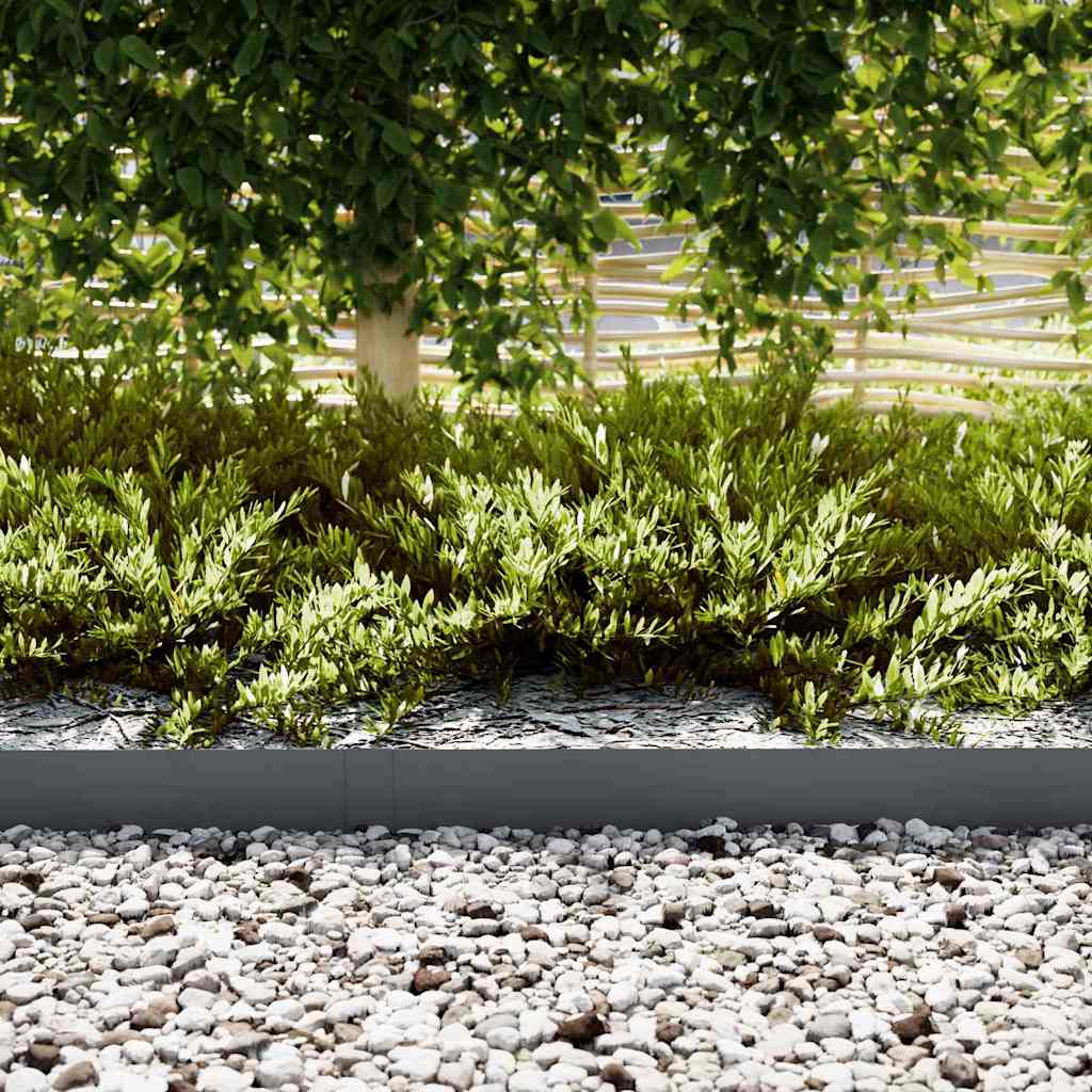 Vidaxl tuinrand 20 pcs antraciet 100 x 0.05 x 20 cm koudgewalst staal