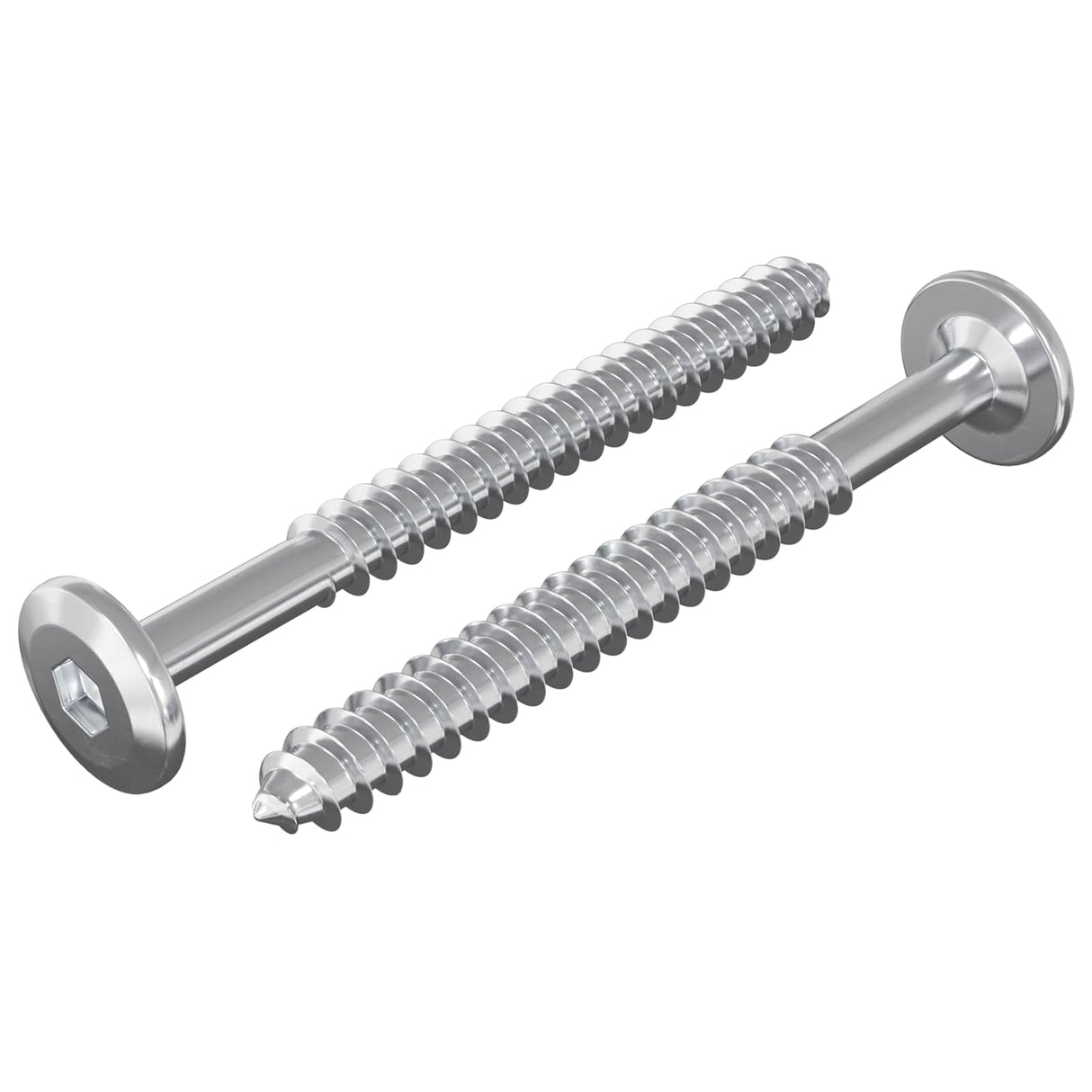 Vidaxl houten schroeven 2 pcs zilver m6 x 70 mm staal