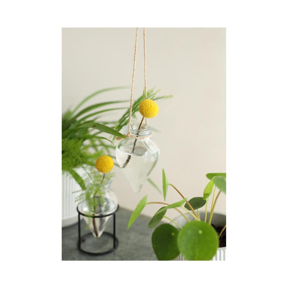 Idées 4 saisons vase brise suspendu ø6xh31cm clair