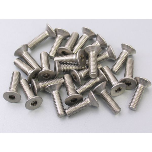 Bofix Allenbout M6X20 en acier inoxydable avec tête coulée (25 pièces)