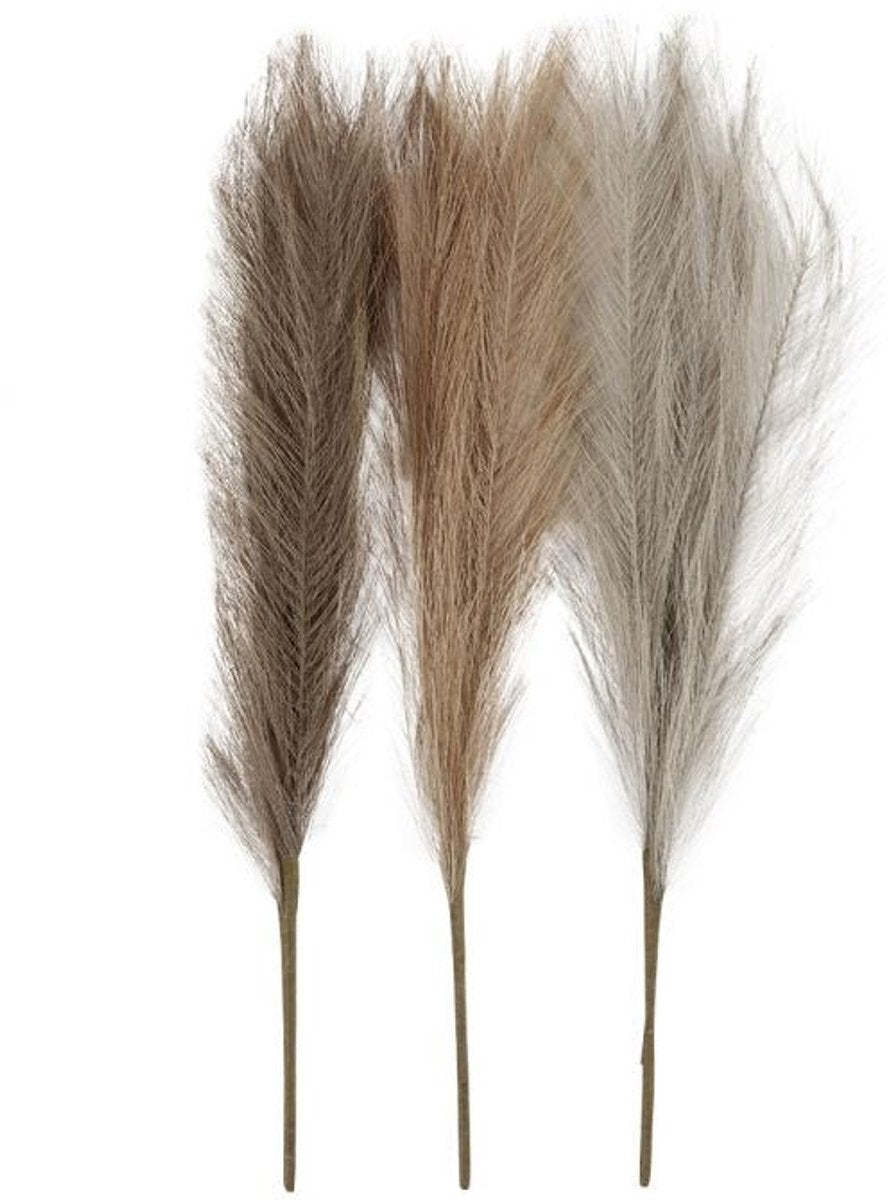 Creativ company herbe de pampa tons terre 50 cm 3 pièces