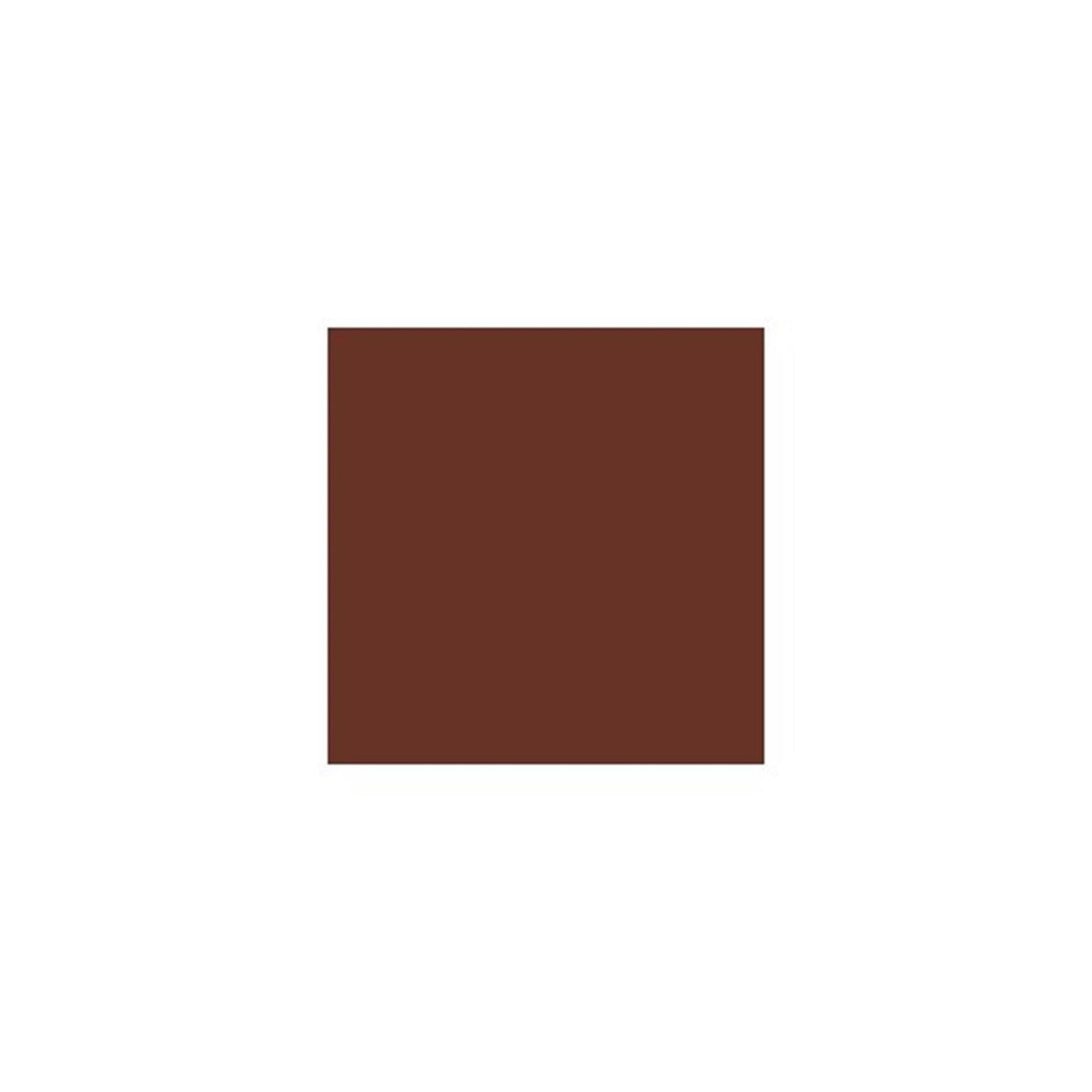 Carton photo 25 feuilles 70x50cm marron