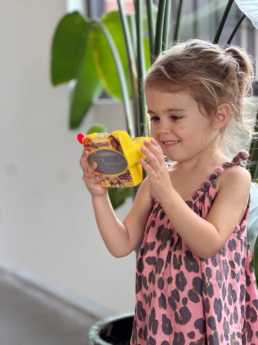 Ambo 3d viewer jouet animaux sauvages carton éducatif.