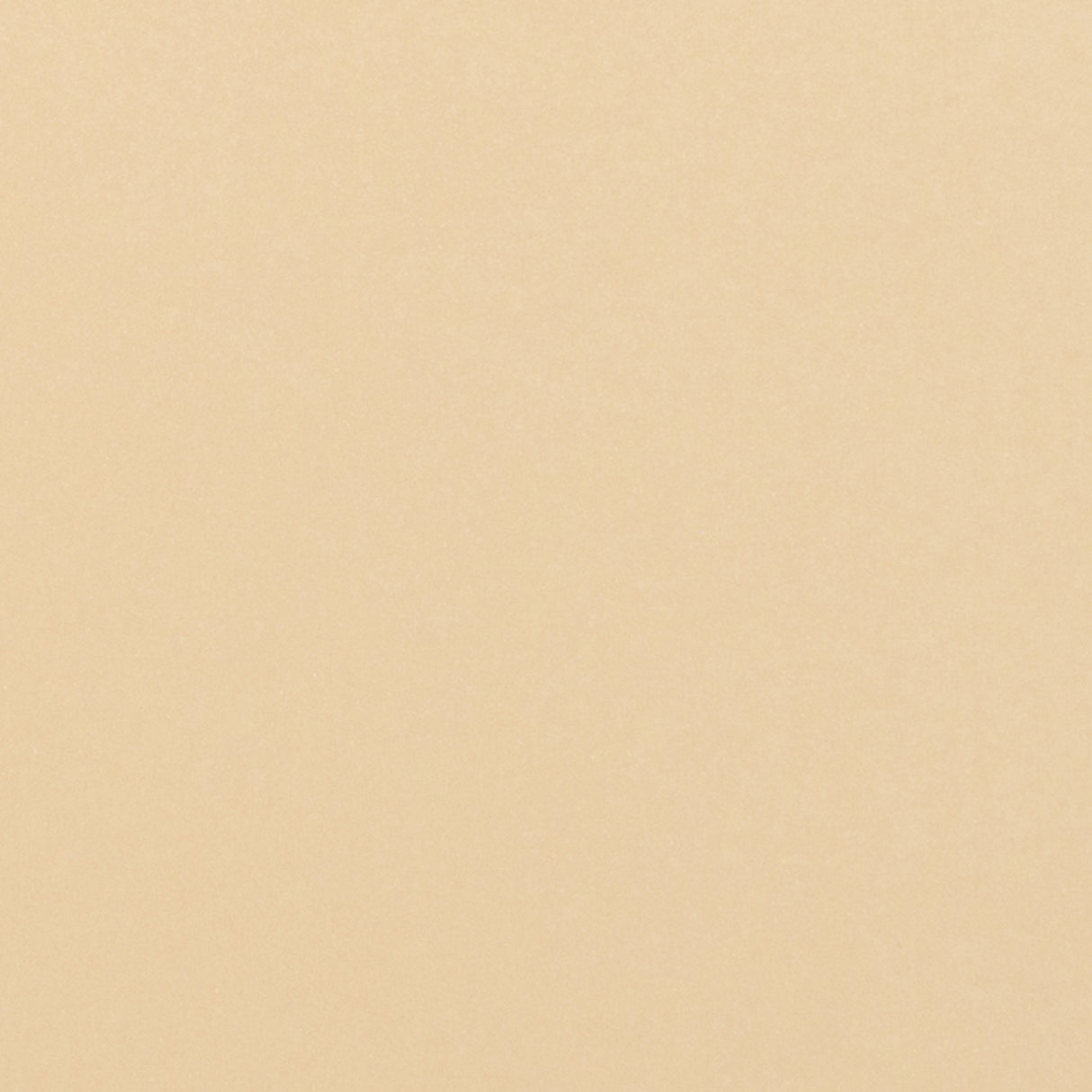 Tonic studios • pearlescent card a4 x5 ivory sheen