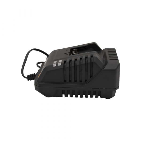 Chargeur de batterie AC Batavia