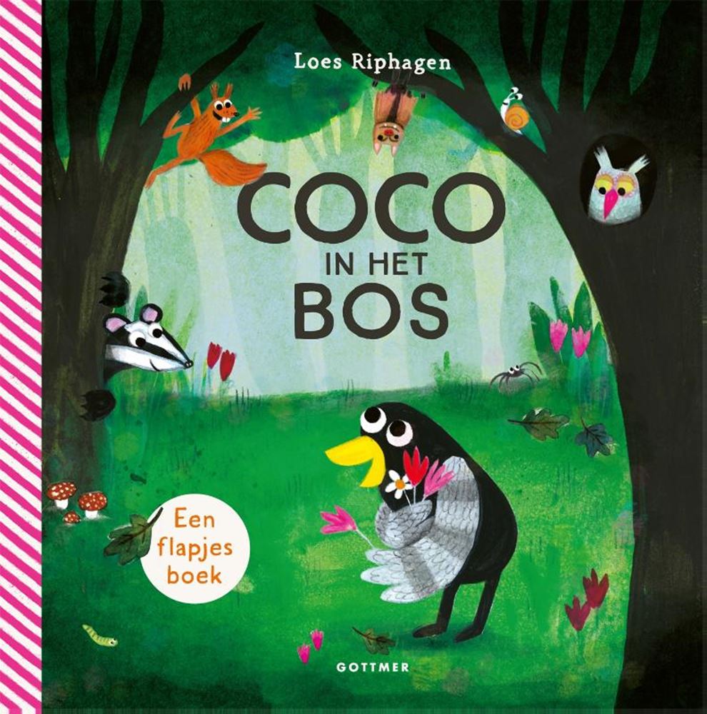 Gottmer coco dans la forêt - livre à rabat