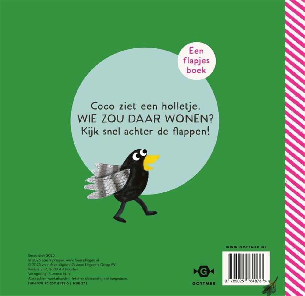 Gottmer coco dans la forêt - livre à rabat