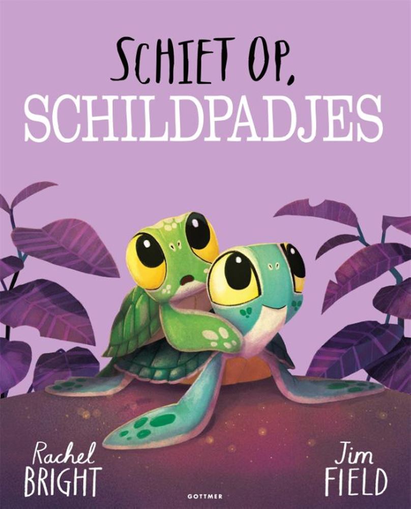 Gottmer dépêchez-vous, tortues