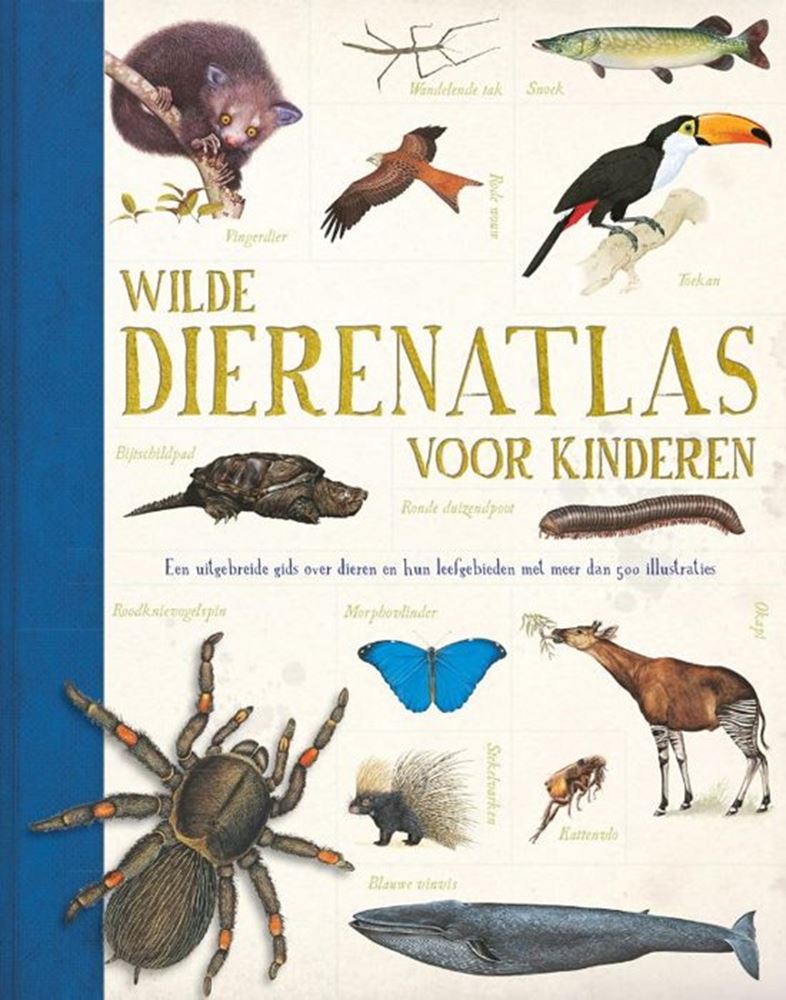 Atlas des animaux sauvages des éditeurs Rebo pour enfants
