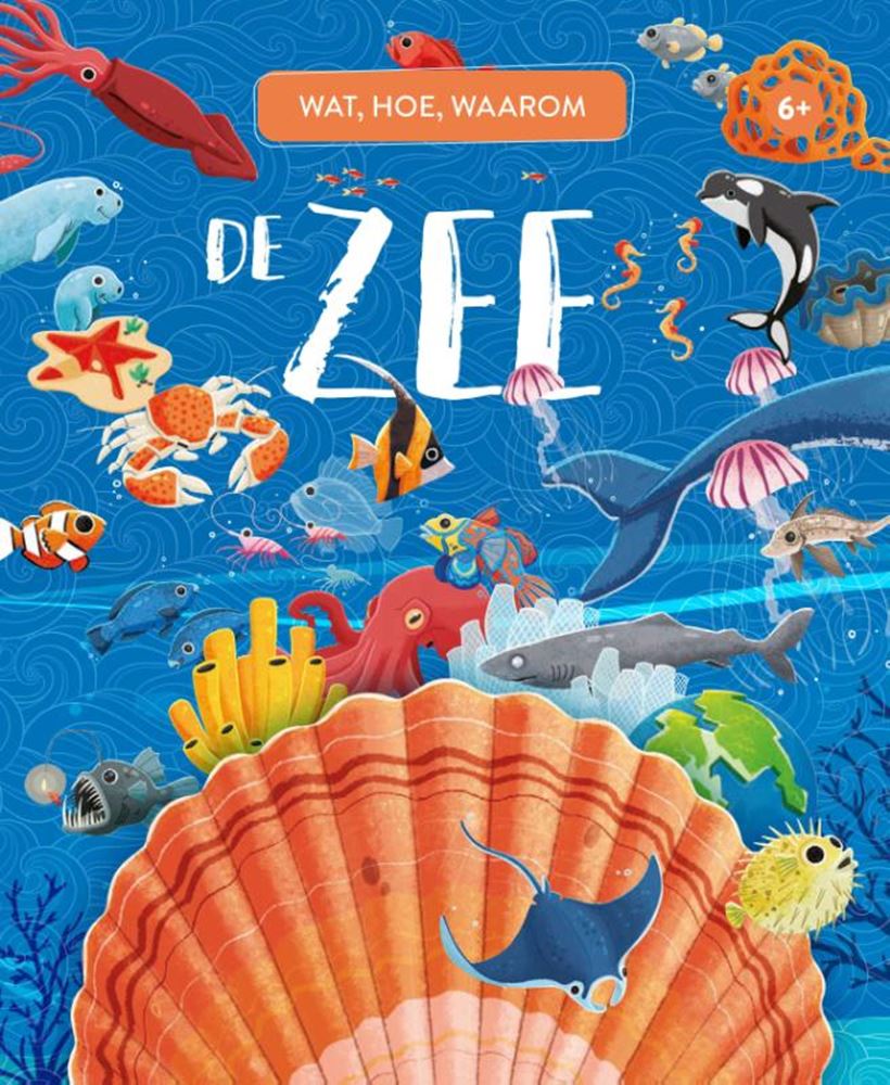 Rebo éditeurs la mer - quoi, comment et pourquoi