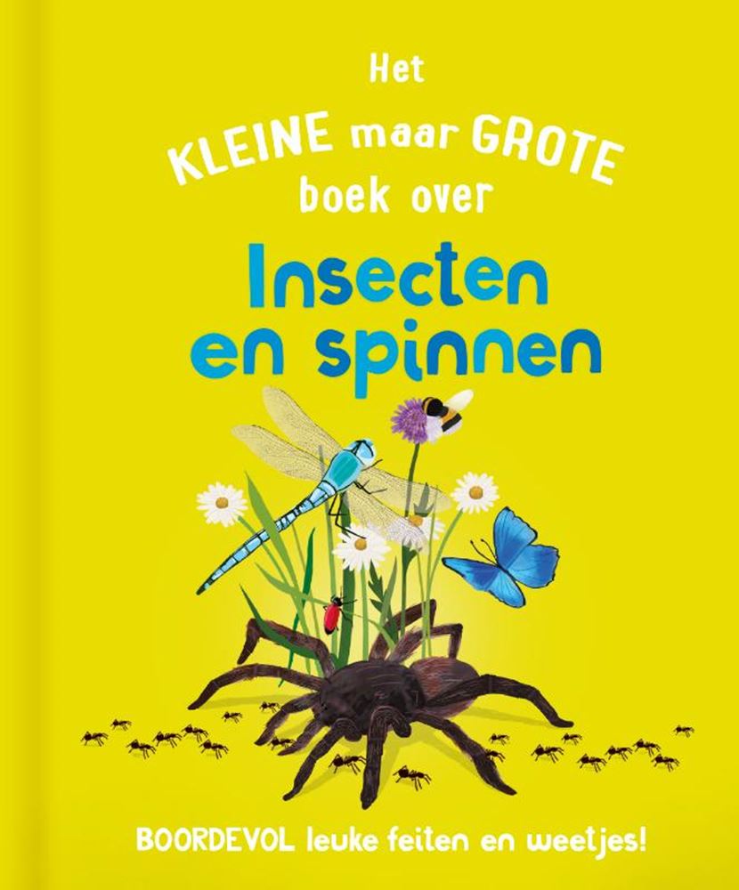 Les éditeurs Rebo, le petit mais grand livre sur ? insectes araignées