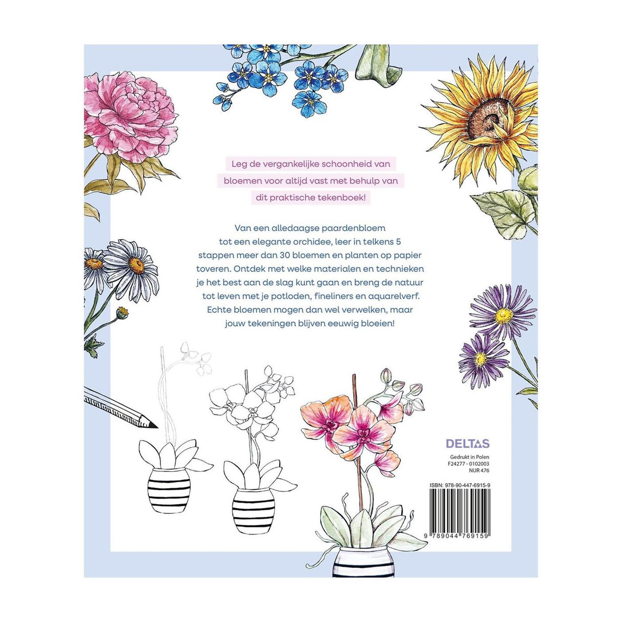 Dessiner des fleurs deltas étape par étape