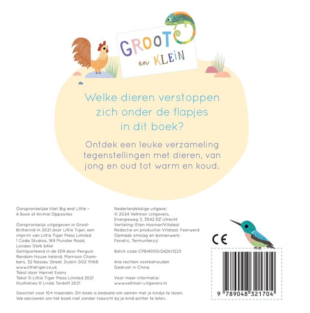 Veltman grand et petit, un livre plein de contradictions